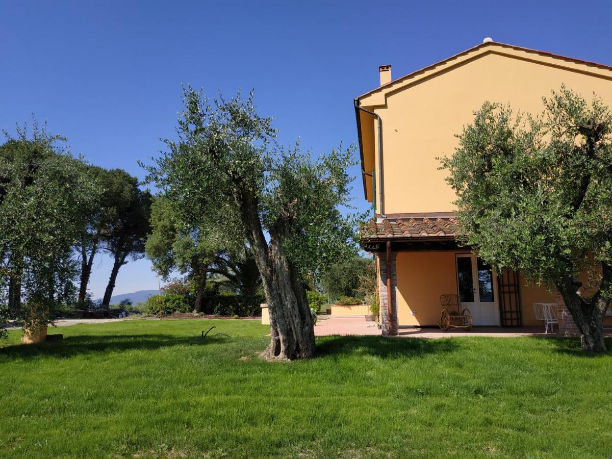 B&B La Casetta Montecarlo Zewnętrze zdjęcie